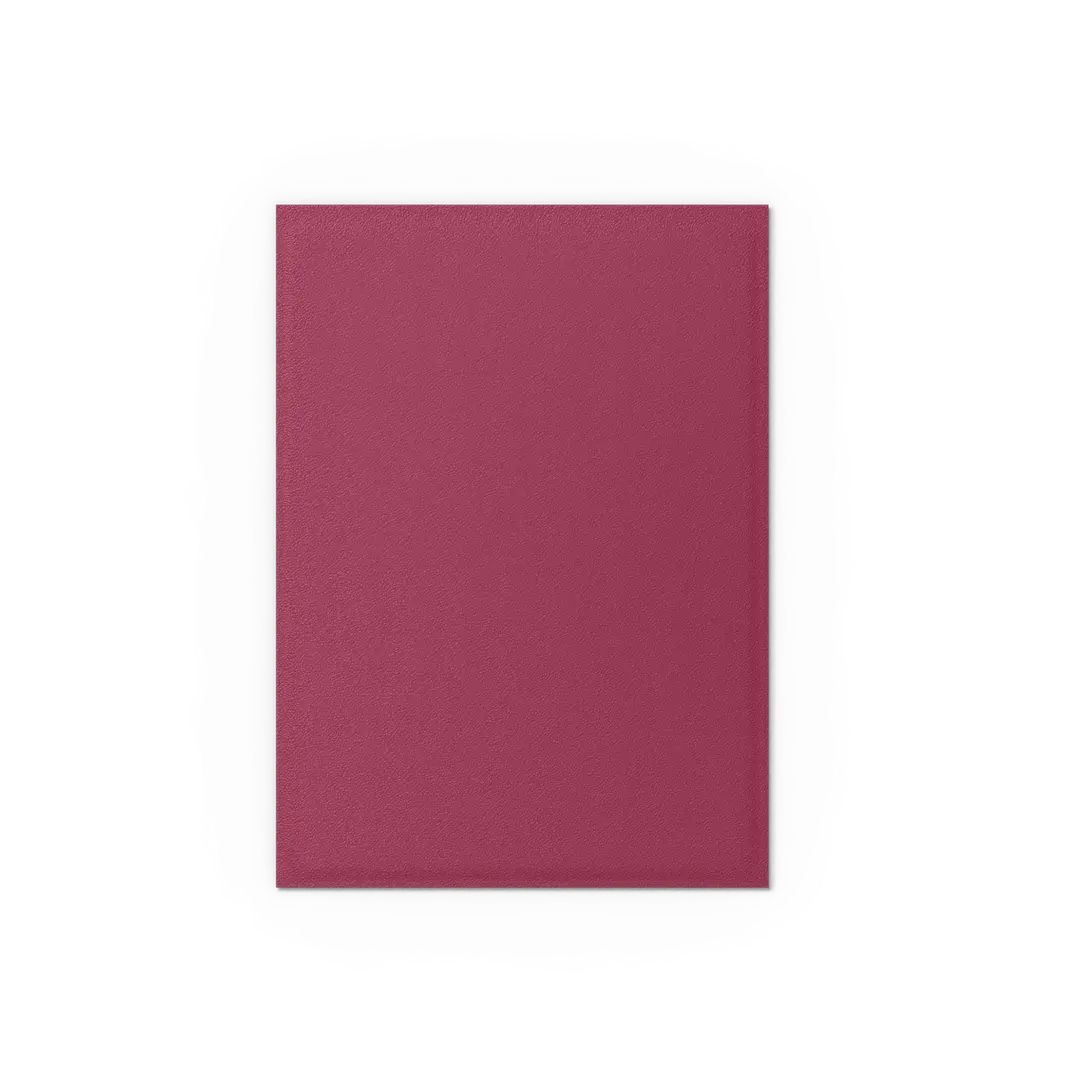 DRAGON SHIELD - POMEGRANATE & GOLD - MATTE DUAL SLEEVES